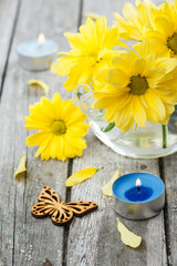 Fresh yellow daisy flowers, butterfly and lit candle