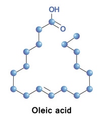 Oleic fatty acid