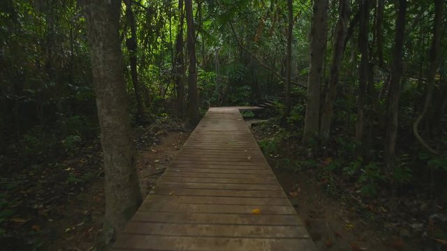 4k video of Wood bridge it Brown and tree at Huai Mae Khamin Waterfall Kanchanaburi