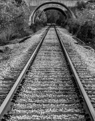 Fototapeta premium Railroad Tracks
