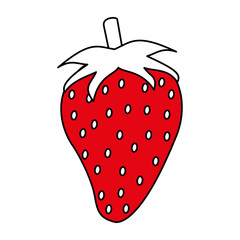 fruit icon image