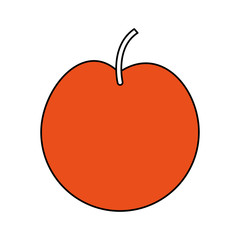 fruit icon image