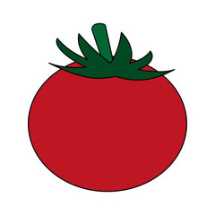 whole tomato fruit icon image