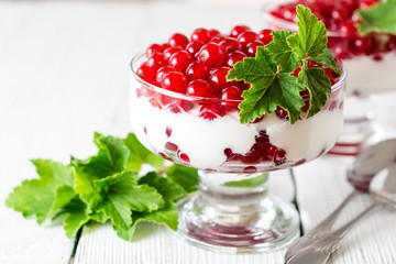 Yogurt dessert with red currant and decorated with leaves on white wooden background
