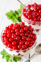 Yogurt dessert with red currant and decorated with leaves on white wooden background