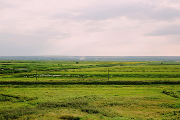 Fototapeta na wymiar Outdoor countryside meadow grass nature. Rural grass field landscape.