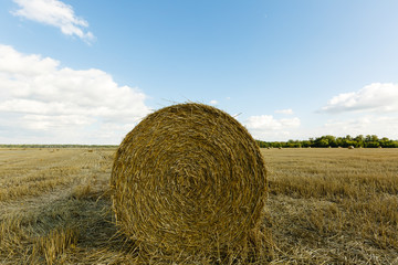 Rural landscapes of Tuscany, Italy, Europe, Rolls of haystacks on the field. Summer farm scenery with haystack on the background of beautiful sunset, Agriculture Concept, Harvest concept