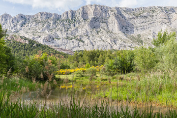 The Sainte-Victoire mountain, near Aix-en-Provence, which inspired the painter Paul Cezanne