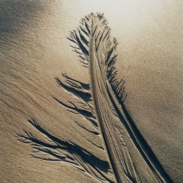 Erosion patterns on beach sand