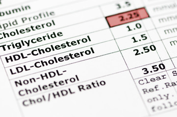 Blood chemistry report showing a lipid profile with high triglyceride levels.