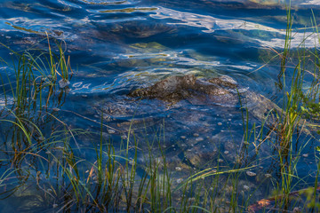 Bergsee Mongolei Wasserr Stein Gras