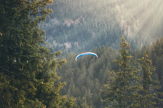 paraglider illuminated from sunbeams above thick forest