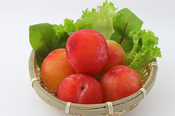 プラム　大石早生