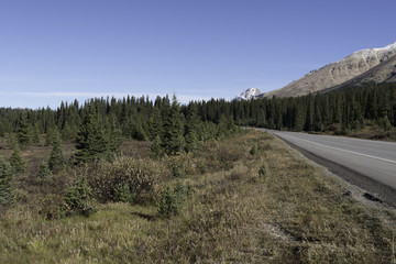Fototapeta na wymiar A roadside valley in Banff National Park, Alberta, Canada