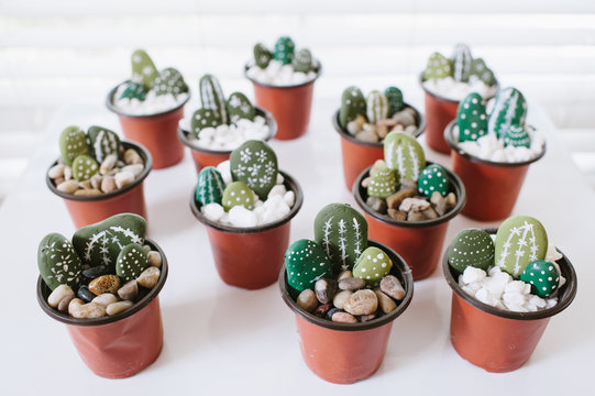 Completed DIY cactus handicraft project
