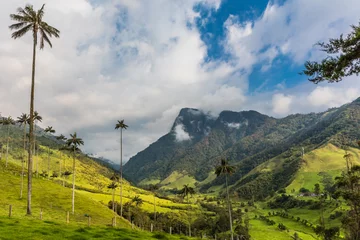 Fototapete Rund El Bosque de Las Palmas Landscapes of  palm trees in Valley Cocora  near Salento Quindio in Colombia South America © snaptitude