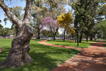 Obraz premium Green gardens