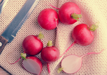 young fresh red radishes whole, and cut in half and rustic canvas fabric