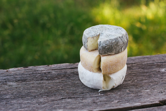 Fresh romelia and juliette goat cheese on old bench