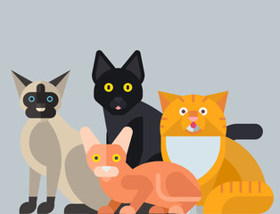 Fototapeta na wymiar Cats vector illustration cute animal funny decorative kitty characters feline domestic kitten trendy pet drawn