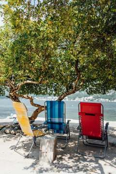 Deck chairs on the shore under the tree