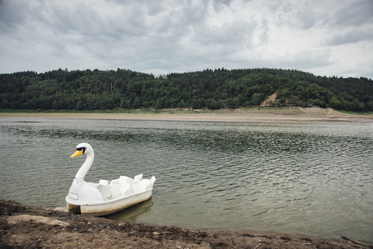 Objects: White Swan Pedal Boat at a lake
