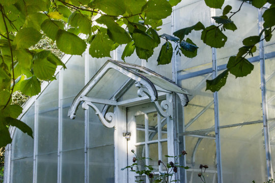 Vintage Greenhouse