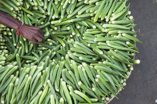 Thin hands of a farmer selling okra on the streets.