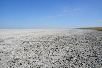 Fototapeta na wymiar Salt flat, Makgadikgadi pans, Botswana, Africa