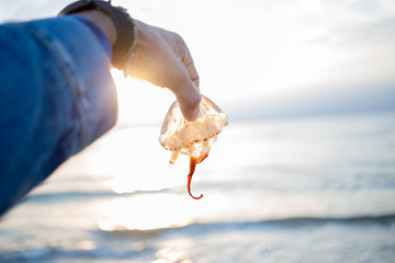 Holding washed up jellyfish on the beach