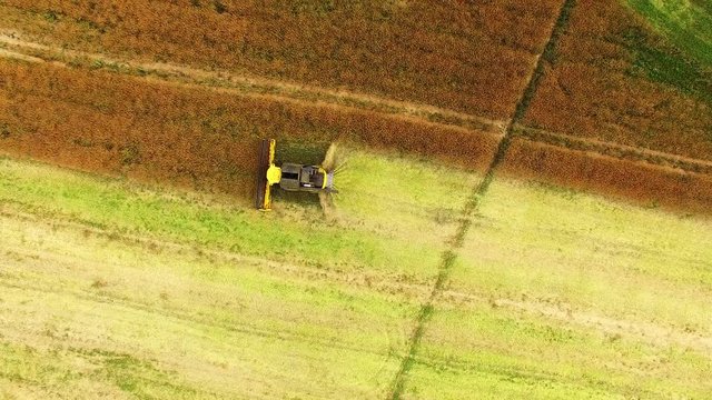 Aerial view of combine harvester. Harvest of rapeseed field. Industrial footage on agricultural theme. Biofuel production from above. Agriculture and environment in European Union. 