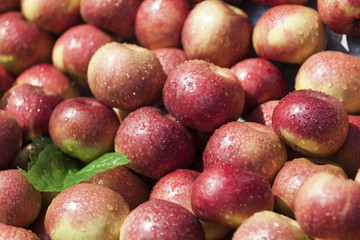 Tasty apples.