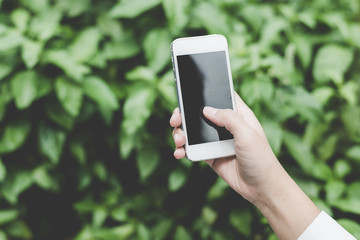 Closeup of woman hands using smartphone