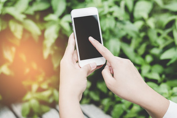 Closeup of woman hands using smartphone