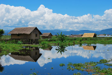 Naklejka na ściany i meble Traditional houses in a floating village on the Inle lake, Myanmar.