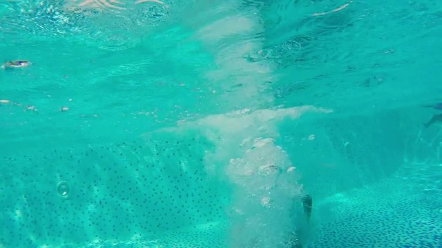 ALANYA, TURKEY-SEPTEMBER 24, 2016: swimmer child teen boy jumps in sunny pool with clear water at tourist resort. Active rest and healthy lifestyle, water sports in vacation holiday. Underwater survey