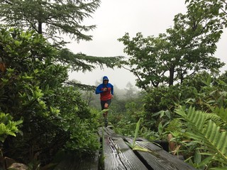 Man running on boardwalk path in mounatins on rainy day 