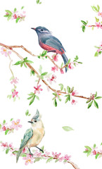 banner design with lovely birds on flowering twigs. watercolor painting