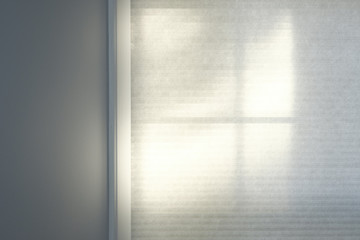 Window with paper shades