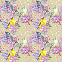 seamless texture with colorful birds on branch flowering lilac and pink butterflies. watercolor painting
