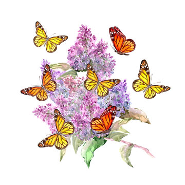 flowering lilac branch and butterflies. watercolor painting