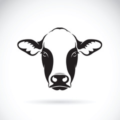 Vector of cow face design on white background. Farm Animal.