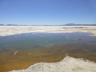 ウユニ塩湖　塩の目