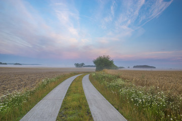 Road to the German village on a foggy morning