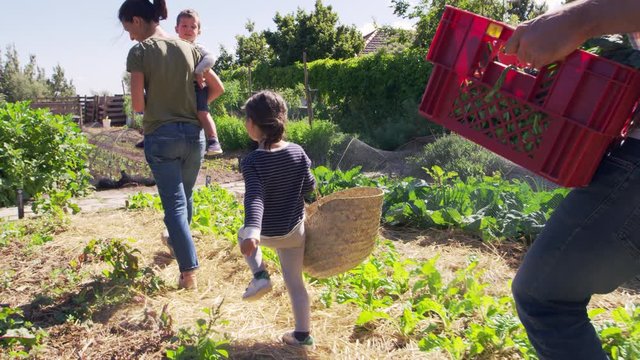Family Working On Community Allotment Together