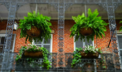 Balcony and wrought iron grating. Traditional architecture of old New Orleans, Louisiana, USA