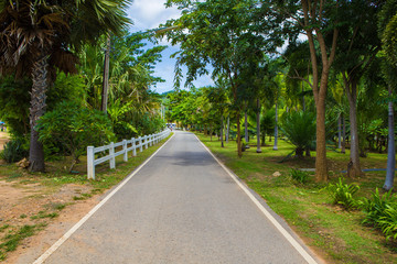 Old road