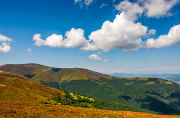 Obraz premium mountain hillsides in late summer
