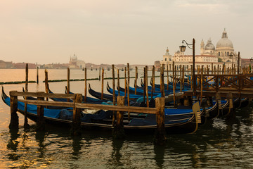 Gondolas of Venice in the morning light. Italy.