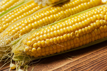 fresh corn on wooden table